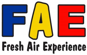 FAE Colour Logo